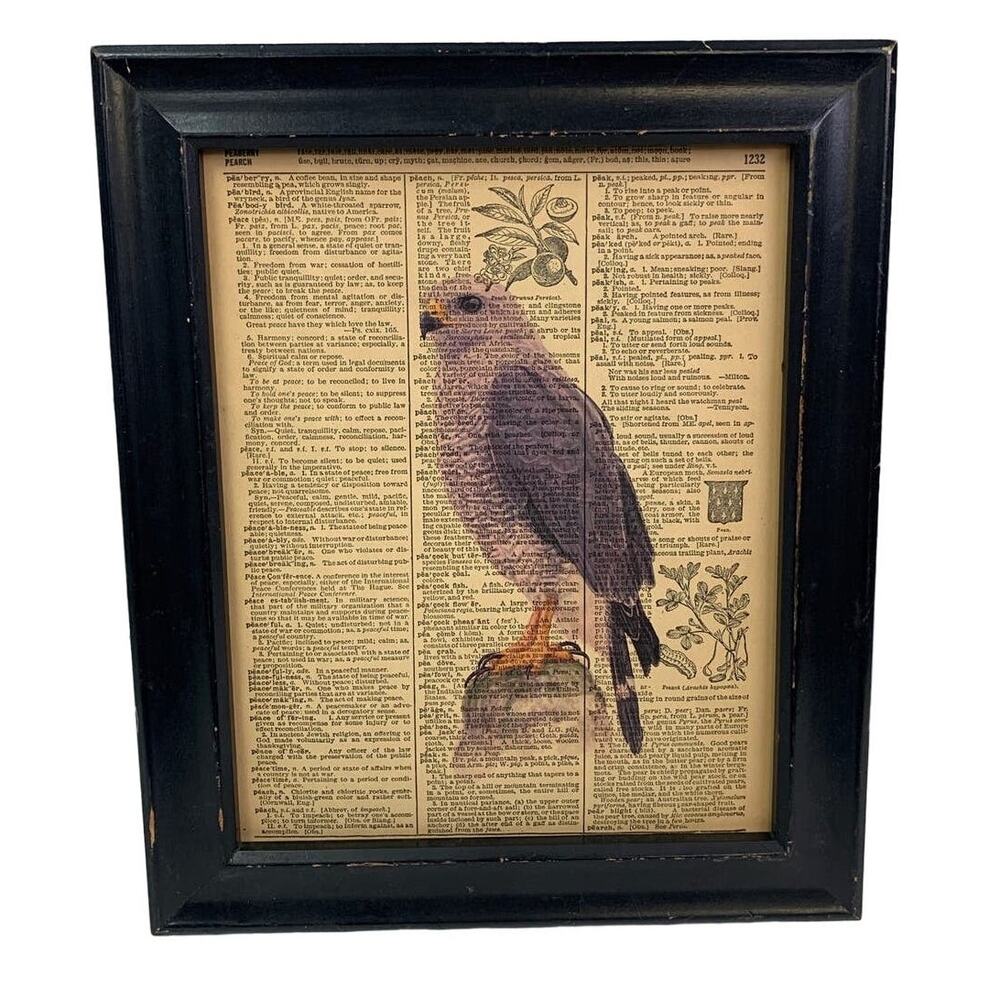 Handmade Upcycled Gray Hawk Bird Printed on Vintage Dictionary Page Wall Art